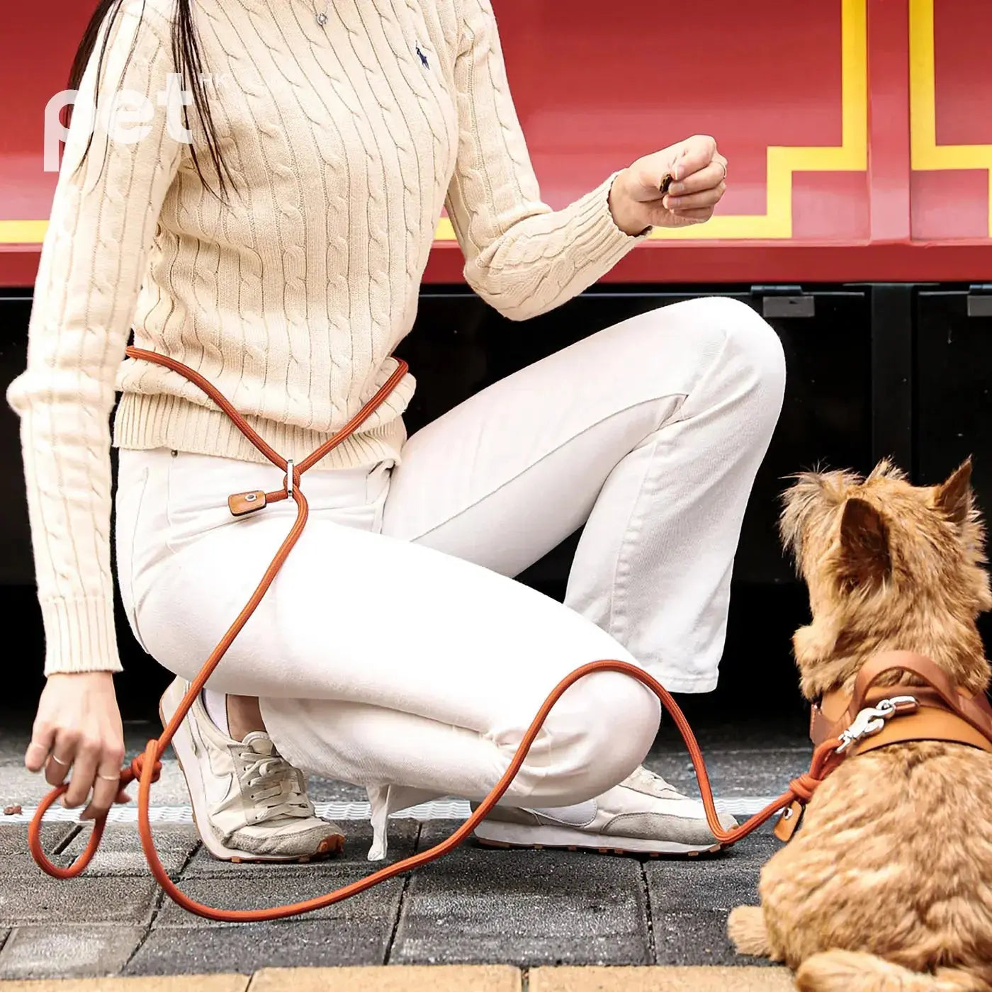 3way Hands Free Leash - Orange HOZI