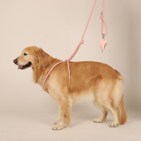 HOZI All-In-One Harness - 黑色 /海軍 /米色 /芥末 /橙色 /勃艮第 /粉紅色