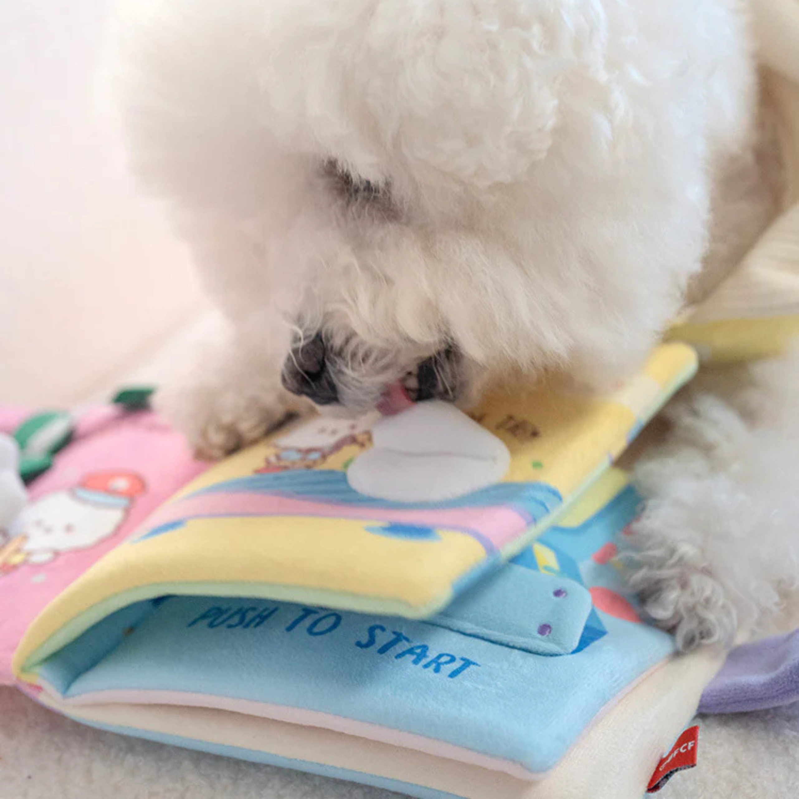 Bichon Frise Cotties Snuff Nosework Book Toy