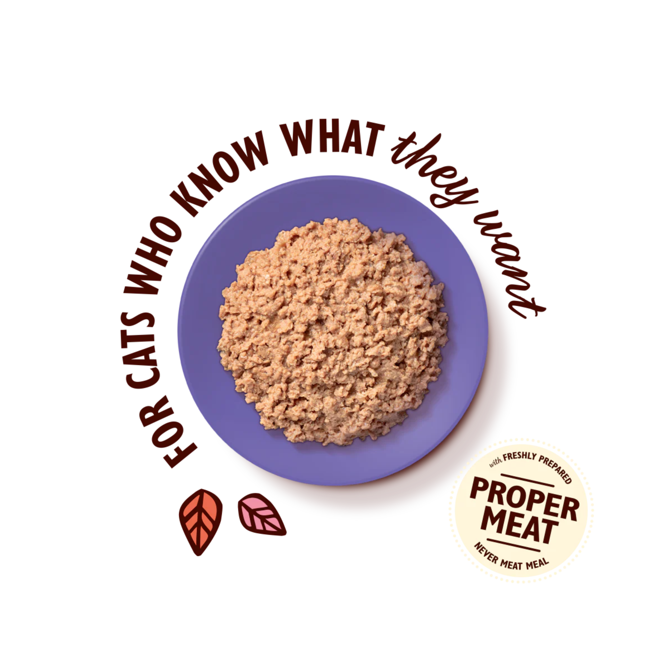 LILY’S KITCHEN Chicken Paté for Mature Cats