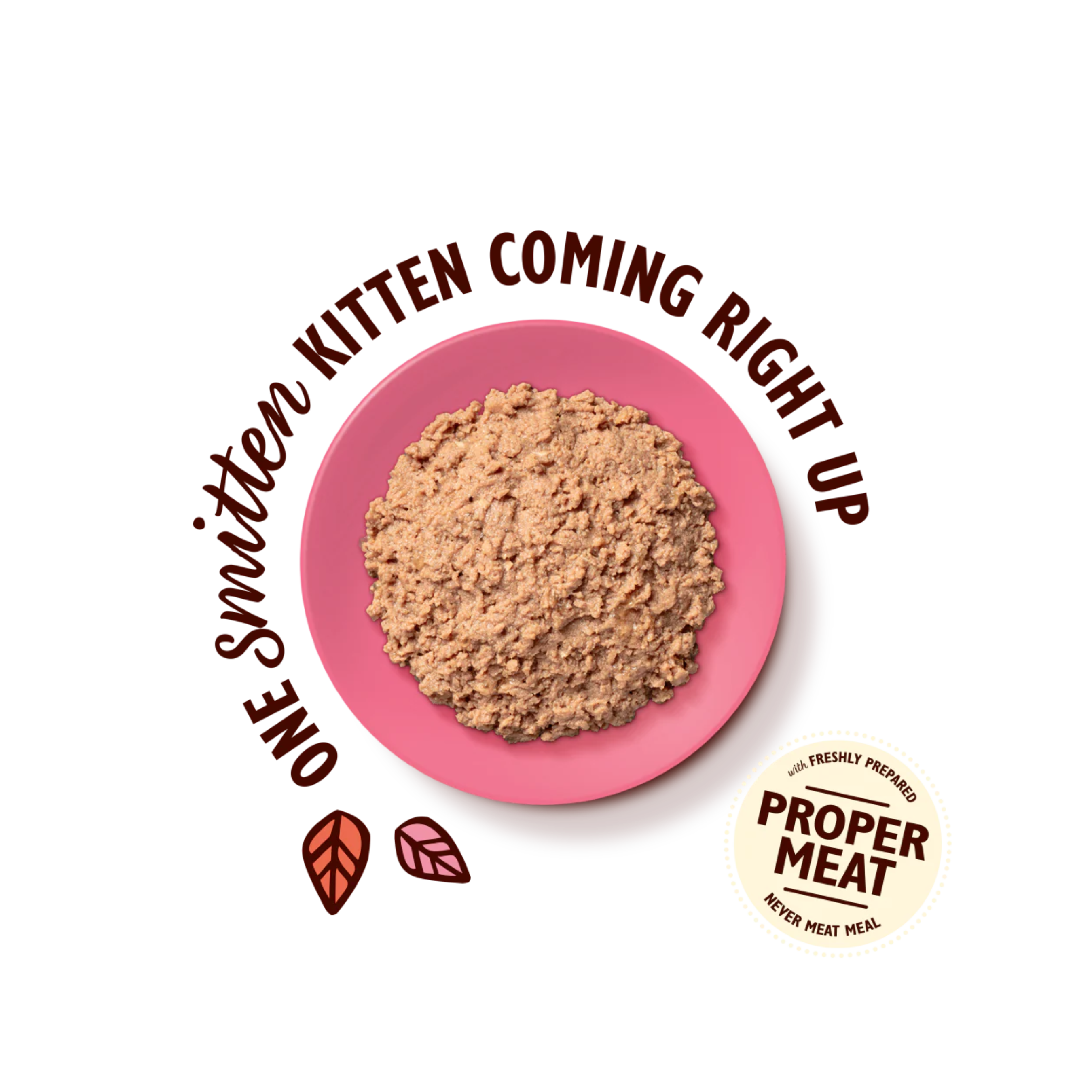 LILY’S KITCHEN Chicken Paté for Kittens