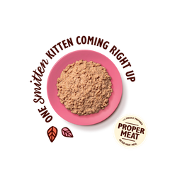 LILY’S KITCHEN Chicken Paté for Kittens