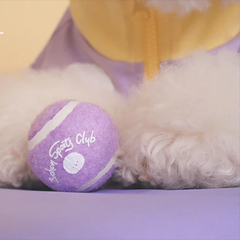 Bichon Frise Cotties Tennis Ball