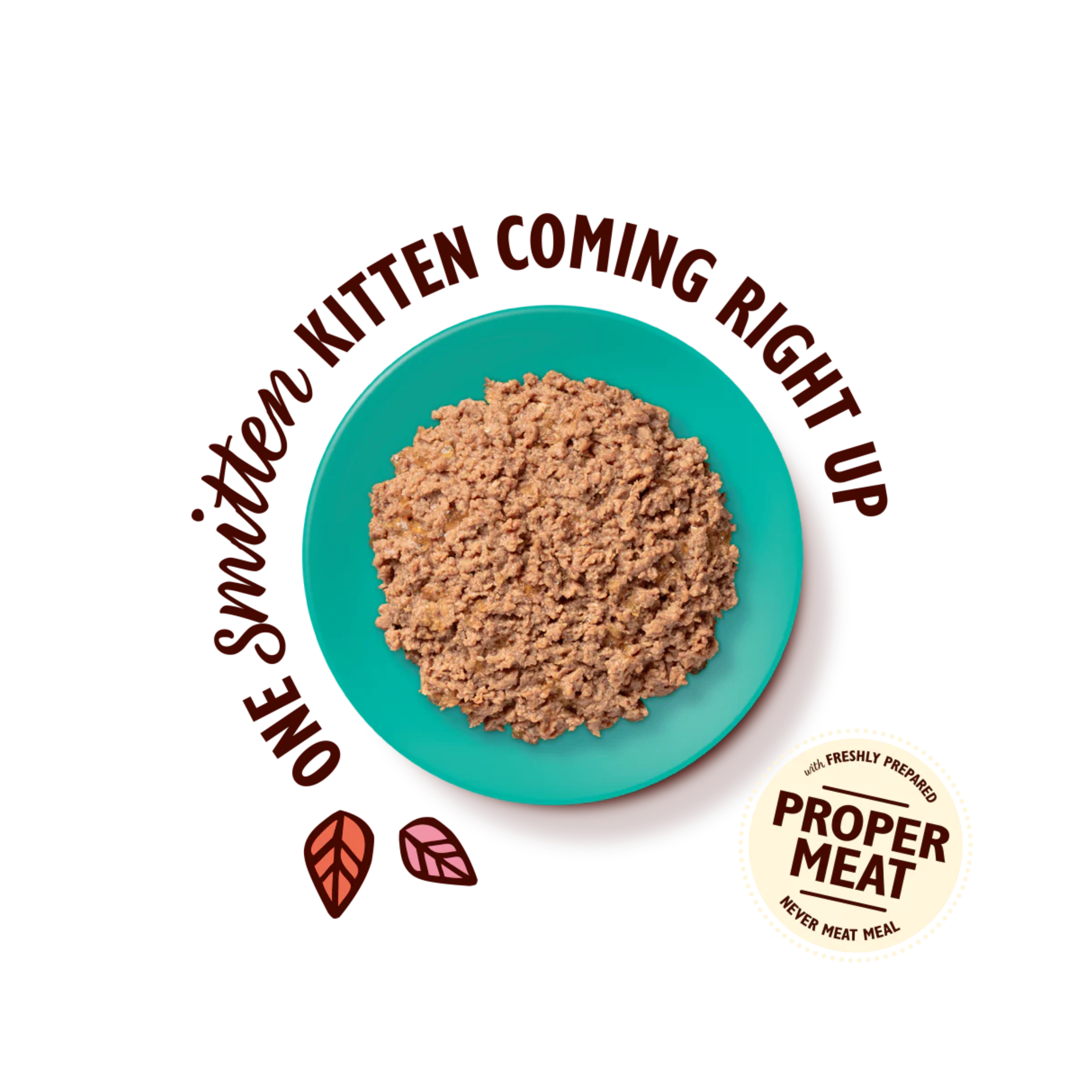 LILY’S KITCHEN Chicken with Cod Paté for Kittens