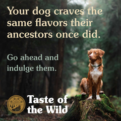 Diamond Taste Of Wild High prairie Canine Recipe with Roasted Bison & Roasted Venison Dog Dry Food PET