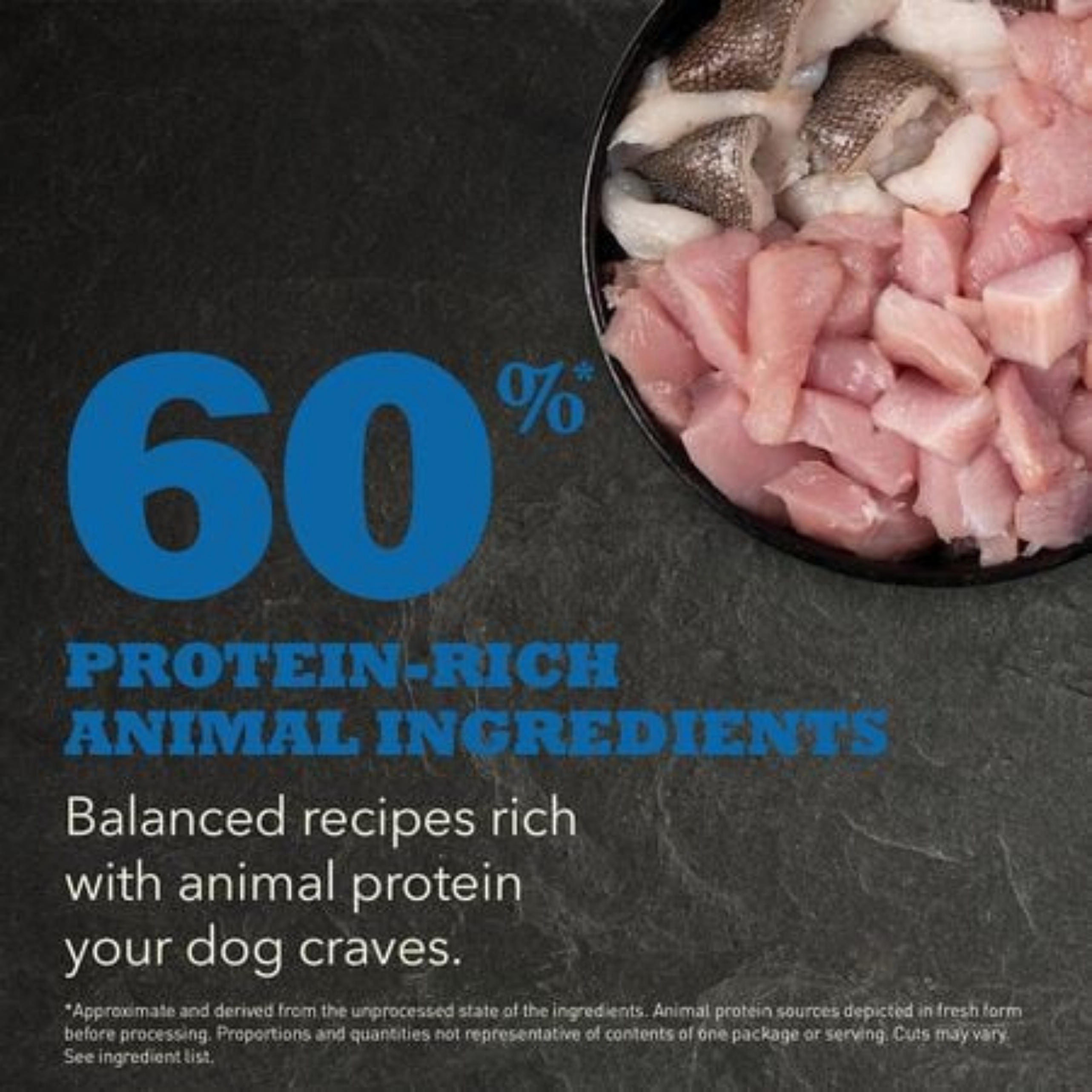 Acana Adult Dog Recipe Dry Dog Food