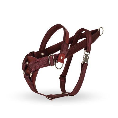 HOZI Bridle Harness - 時尚與功能兼備的狗繩，適合各種場合