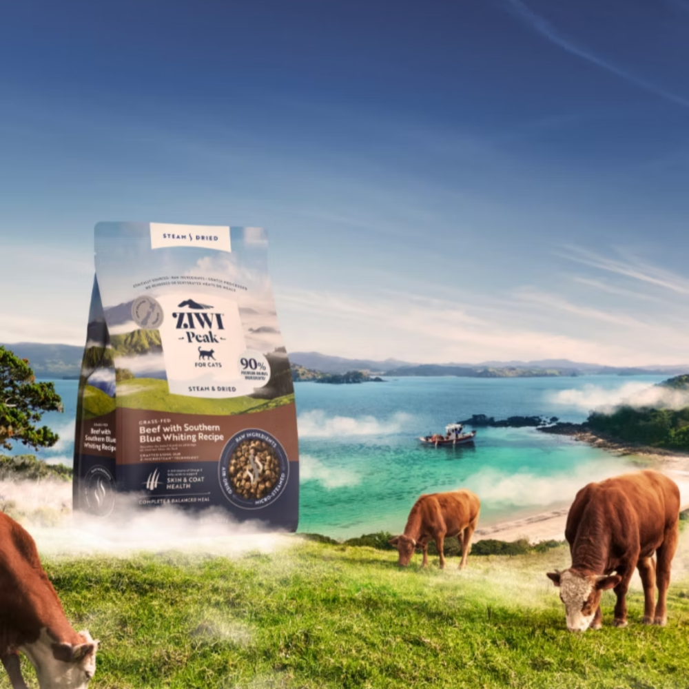ZIWI Grass-fed Beef With Southern Blue Whiting Recipe For Cats | 貓糧-草飼牛肉配南藍鱈食譜 Ziwi