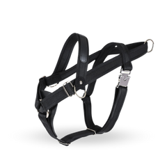 HOZI Bridle Harness - 時尚與功能兼備的狗繩，適合各種場合