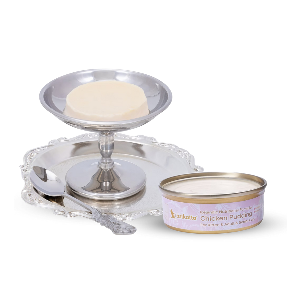 astkatta Chicken Pudding 40g | 雞肉布甸罐 ástkatta