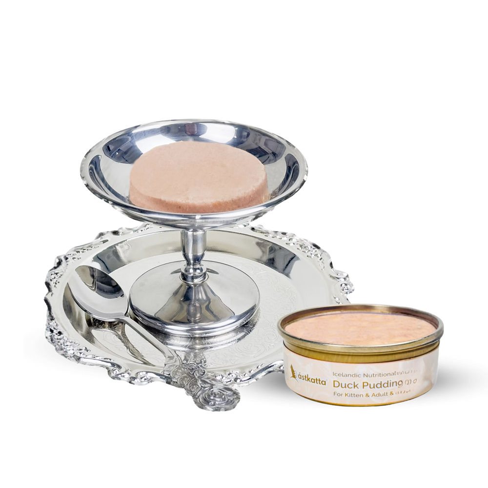 astkatta Duck Pudding 40g | 純鴨肉布甸罐 ástkatta