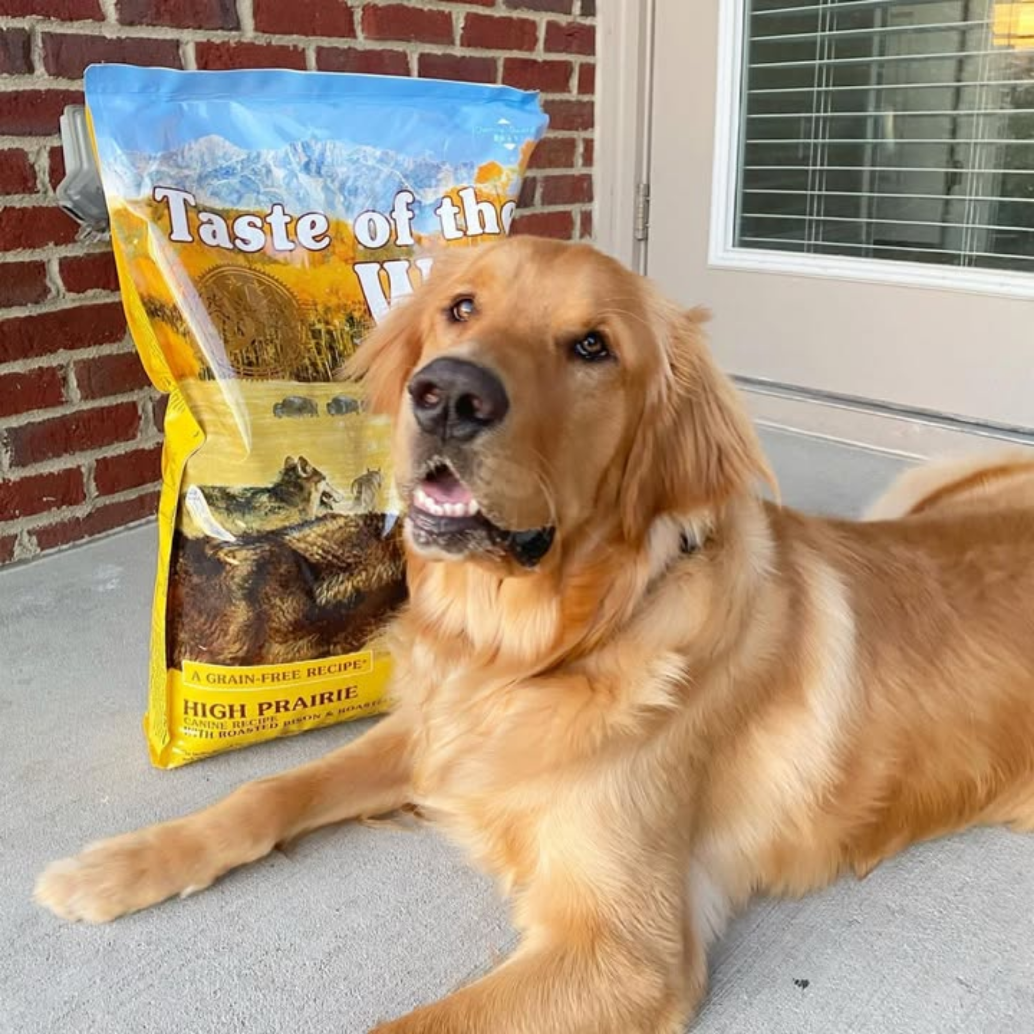 Diamond Taste Of Wild High prairie Canine Recipe with Roasted Bison & Roasted Venison Dog Dry Food PET