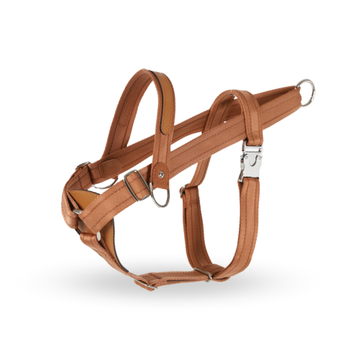 HOZI Bridle Harness - 時尚與功能兼備的狗繩，適合各種場合