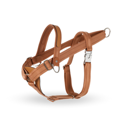HOZI Bridle Harness - 時尚與功能兼備的狗繩，適合各種場合