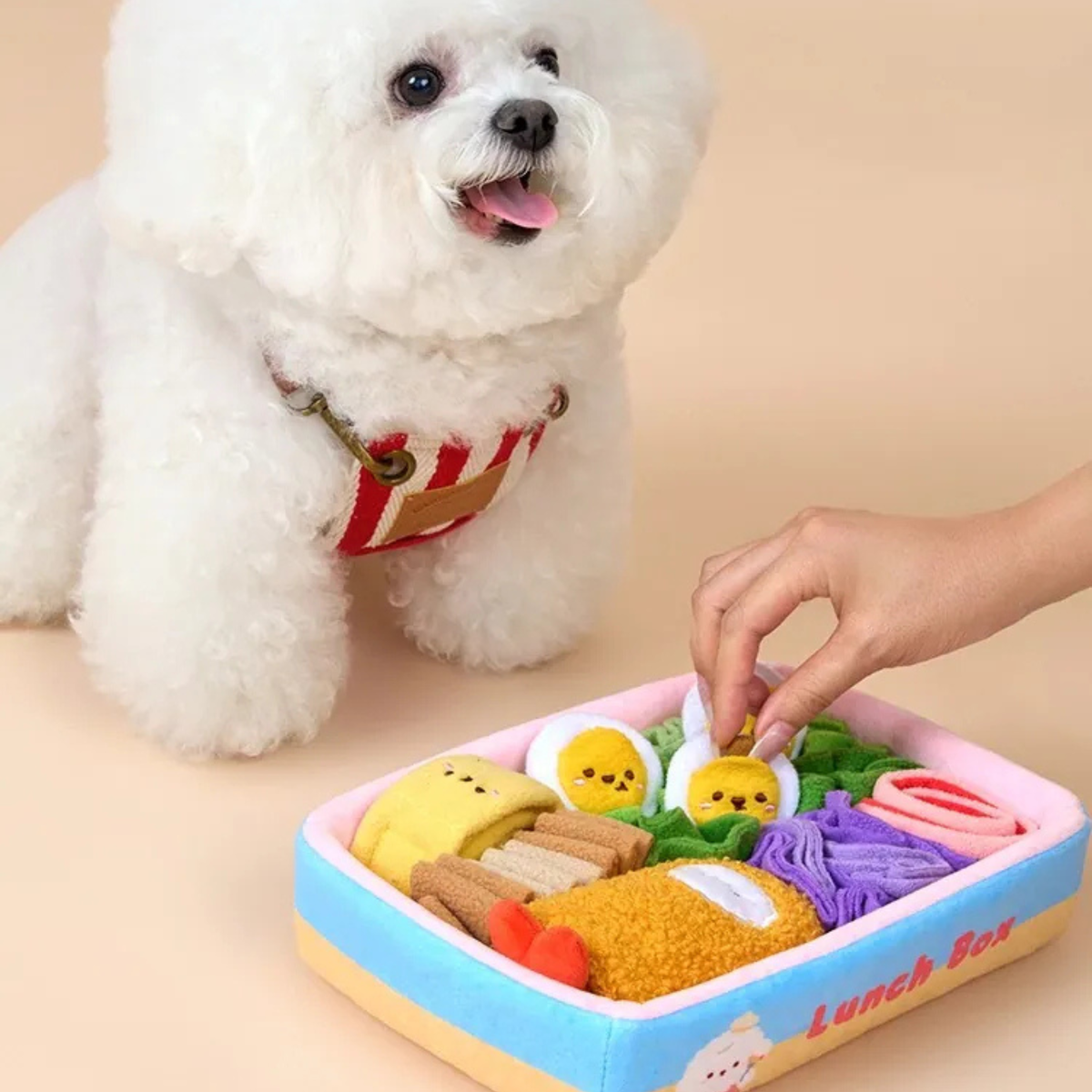Bichon Frise Cotties Mini Bento