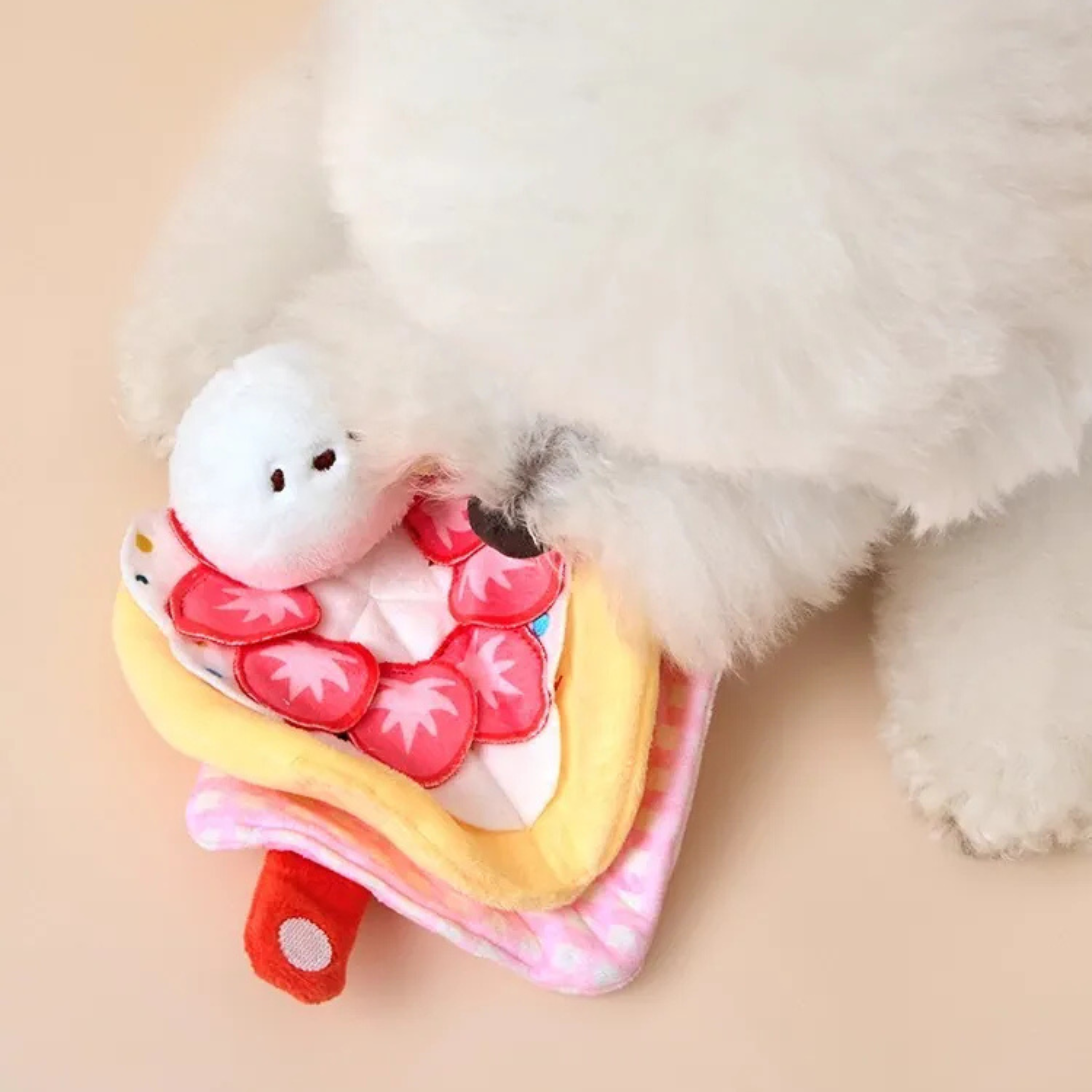 Bichon Frise Cotties Strawberry Crepe