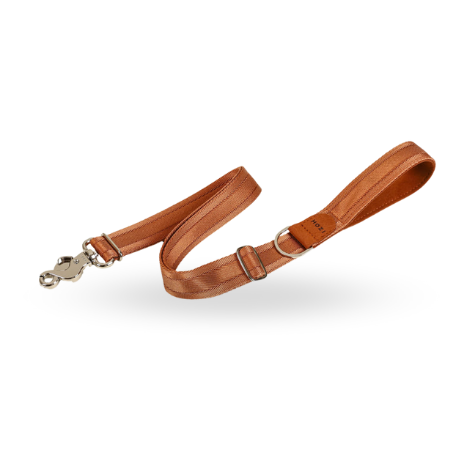 HOZI Half Leash - 犬隻短牽繩，四種顏色可選，舒適安全的散步體驗
