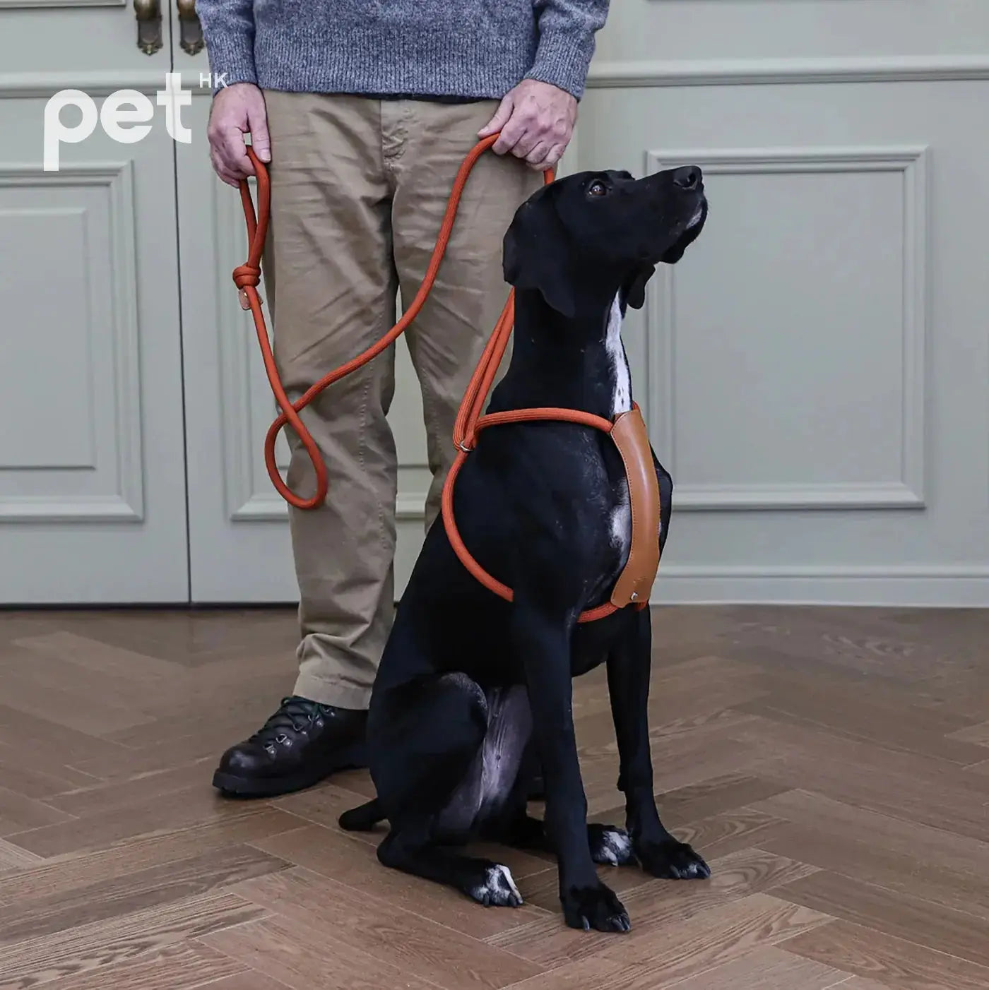 All-In-One Harness - Orange HOZI