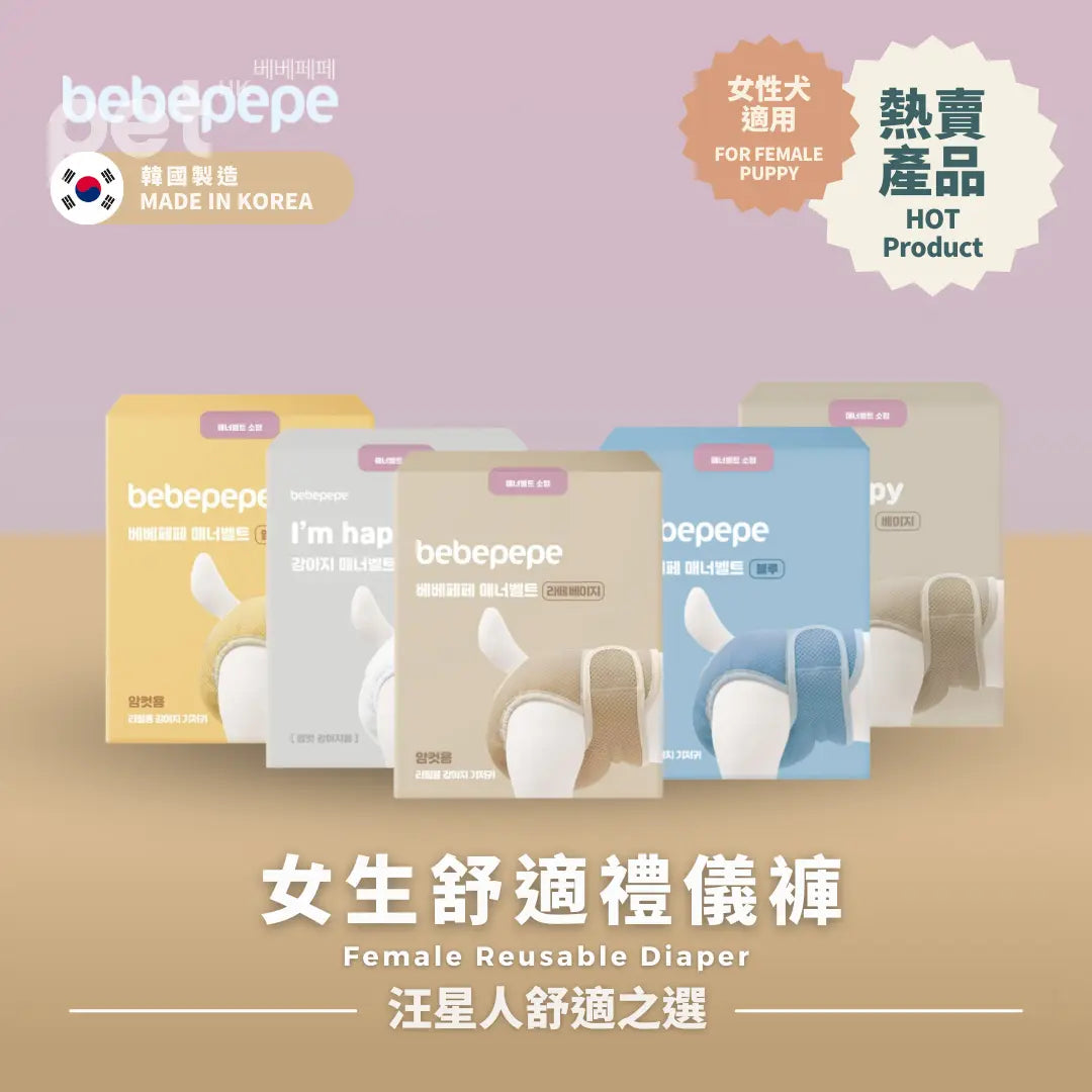 Bebepepe Female Reusable Diaper | 女生舒適禮儀褲 bebepepe