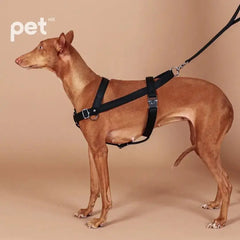 Bridle Harness - Black / Beige / Camel / Burgundy HOZI