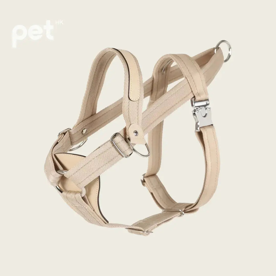 Bridle Harness - Black / Beige / Camel / Burgundy HOZI