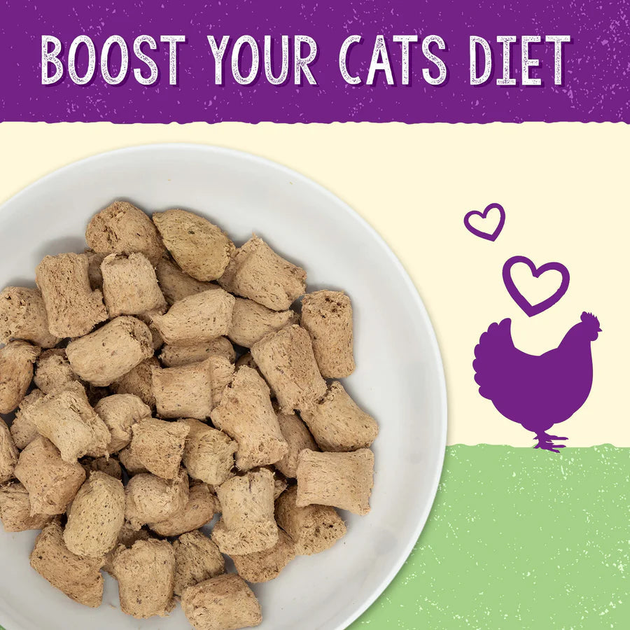 Stella & Chewy's Stella's Solutions Dinner Mixers for Cats - Digestive Support Cage-Free Chicken 有助消化系統 - 放養雞配方 Stella & Chewy's