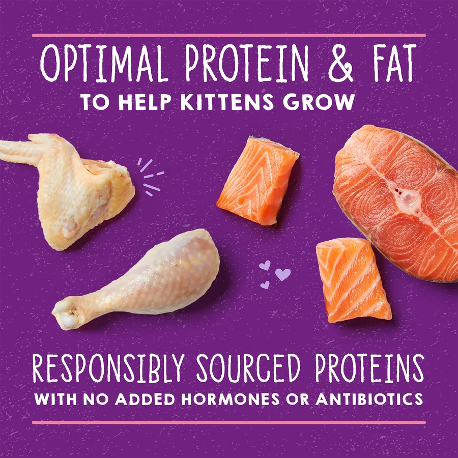 Stella & Chewy's Carnivore Cravings Cat Cans - Kitten Chicken & Salmon Recipe 幼貓 雞肉三文魚 Stella & Chewy's