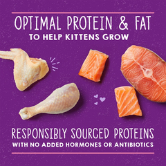 Stella & Chewy's Carnivore Cravings Cat Cans - Kitten Chicken & Salmon Recipe 幼貓 雞肉三文魚 Stella & Chewy's
