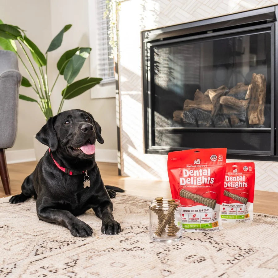 Stella & Chewy's Dental Delights - Large Treats x 17 (大 17支袋裝 大型犬) Stella & Chewy's
