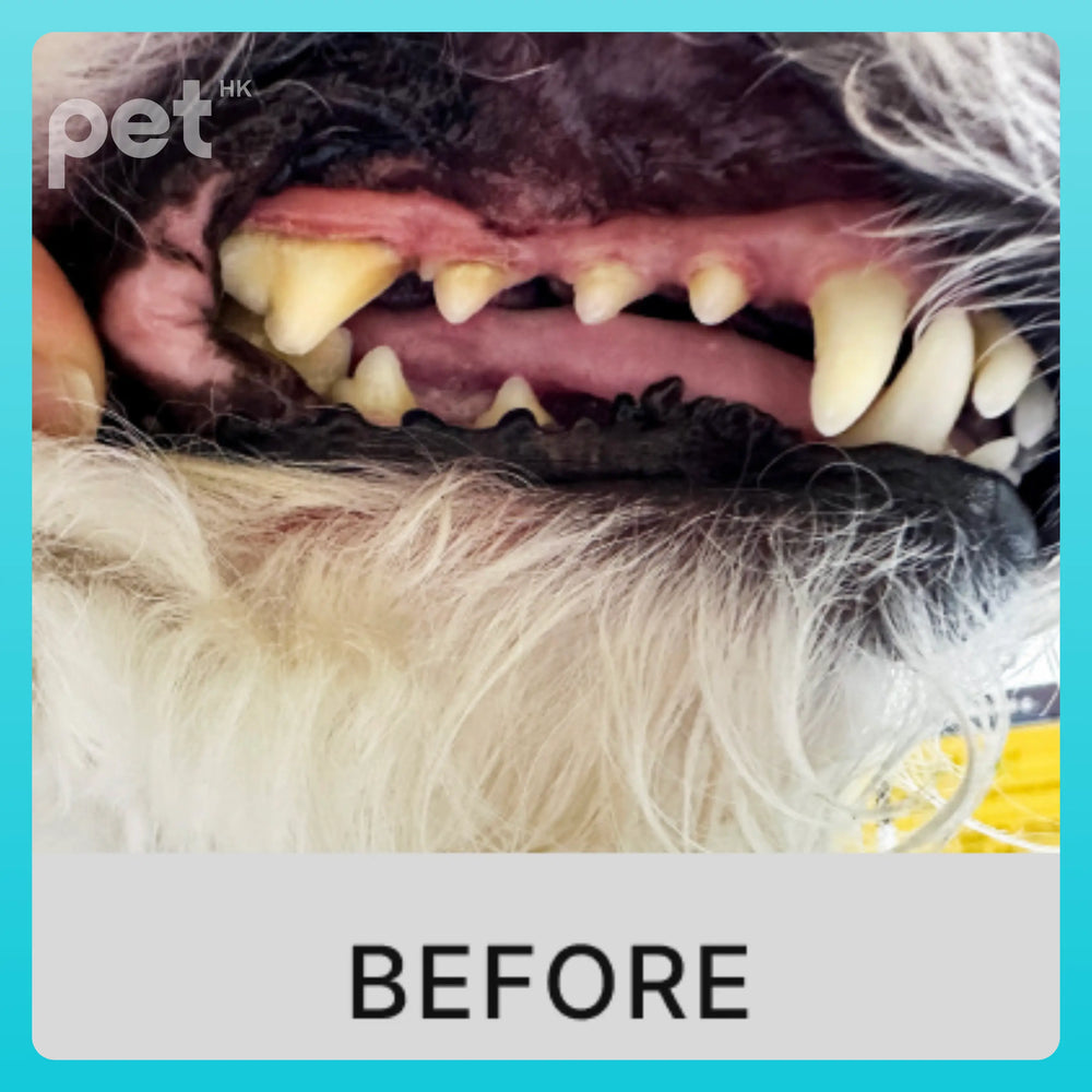 Doocamedi Cellcare Dental 寵物幹細胞牙膏 DOOCAMEDI