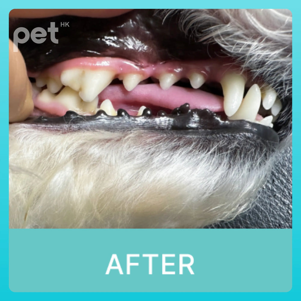 Doocamedi Cellcare Dental 寵物幹細胞牙膏 DOOCAMEDI