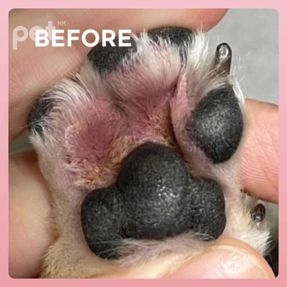 Doocamedi Cellcare Drama: LED Red Light Therapy for Joint Pain Relief DOOCAMEDI