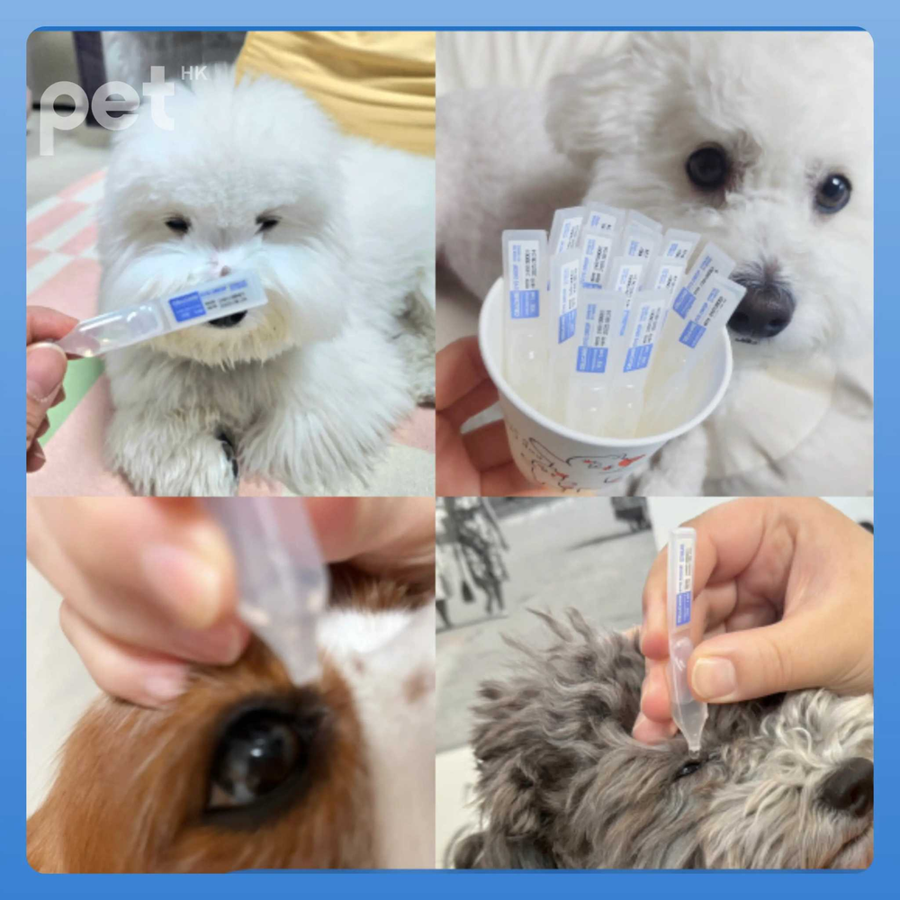 Doocamedi Cellcare Pet Eye Drop in use for hydrating, cleansing, and protecting pets' eyes with convenient single-use vials.