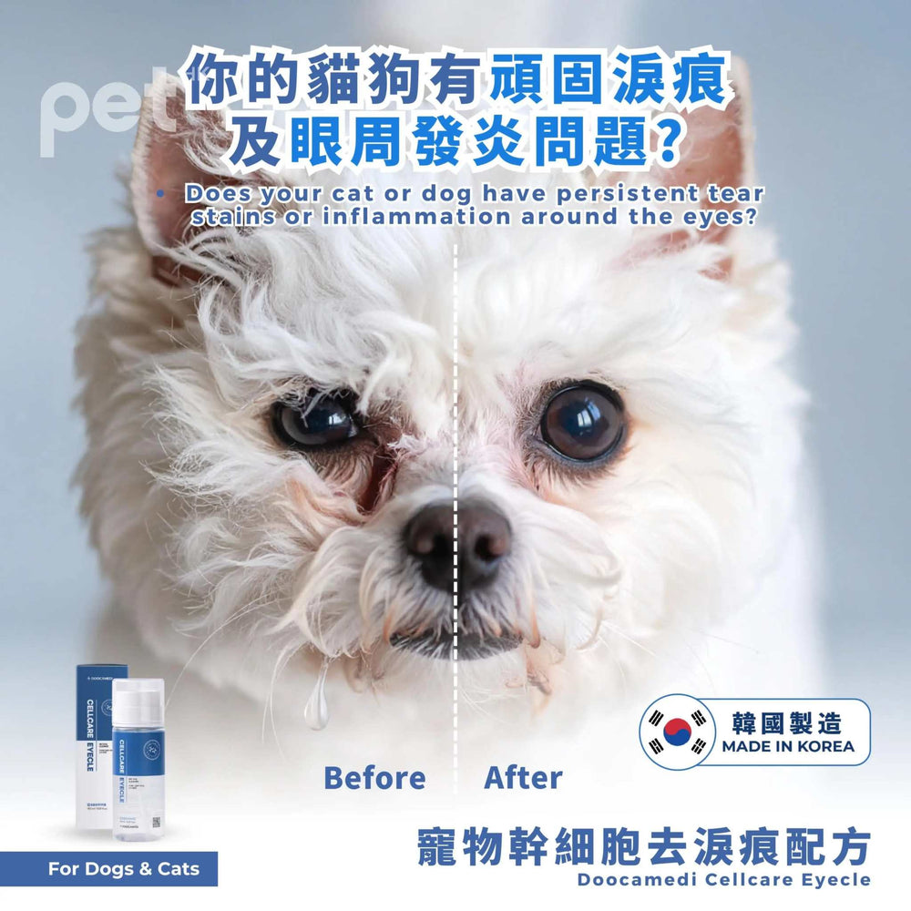 Doocamedi Cellcare Pet Eye Drop showing before and after effects on dog's tear stains and eye inflammation, made in Korea.