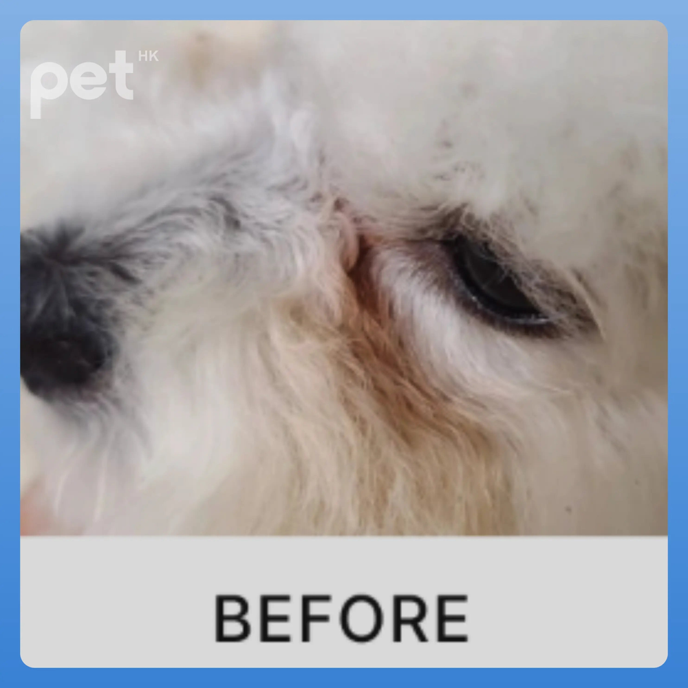 Doocamedi Cellcare Eyecle: Premium Stem Cell Eye Care Solution for Pets DOOCAMEDI