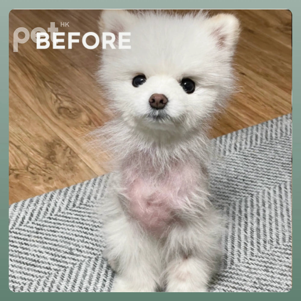 Doocamedi Cellcare Shampoo 幹細胞多合一沖涼洗毛液 DOOCAMEDI