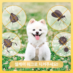Doocamedi Cellcare Walk Stem Cell Pet Anti-Flea Spray 10ml / 30ml DOOCAMEDI