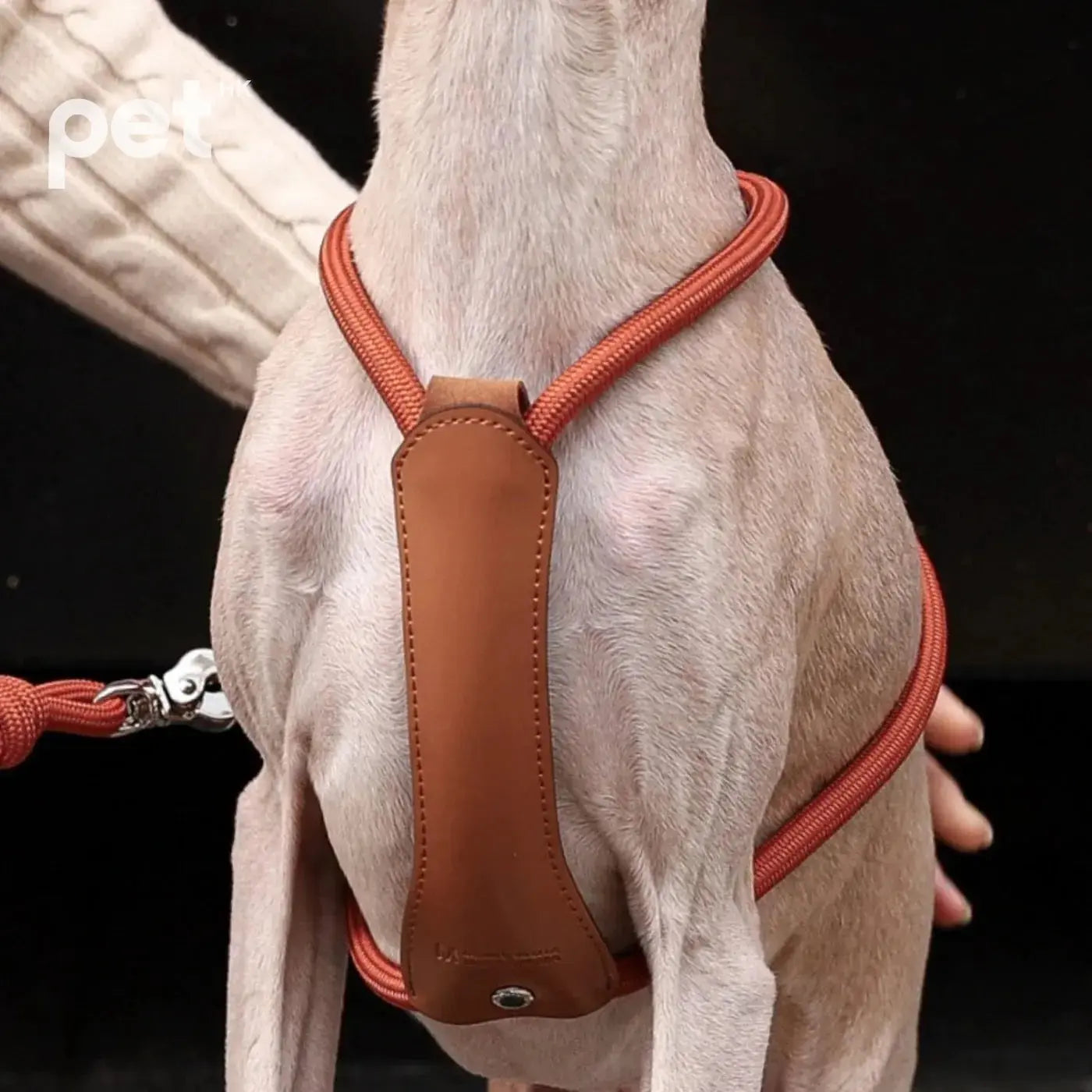 Essential Harness - Orange HOZI