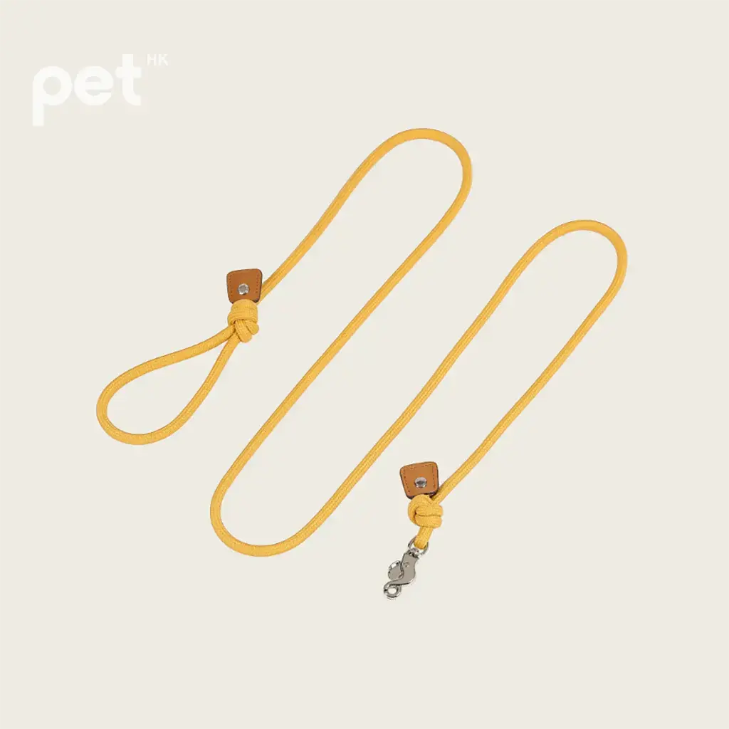 Essential Leash - Mustard HOZI