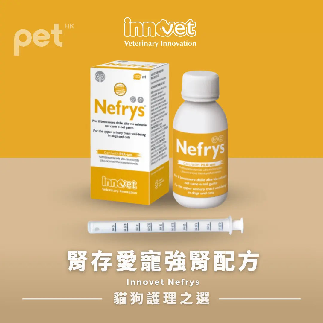 Innovet意諾膚腎存 Nefrys強腎配方 PET