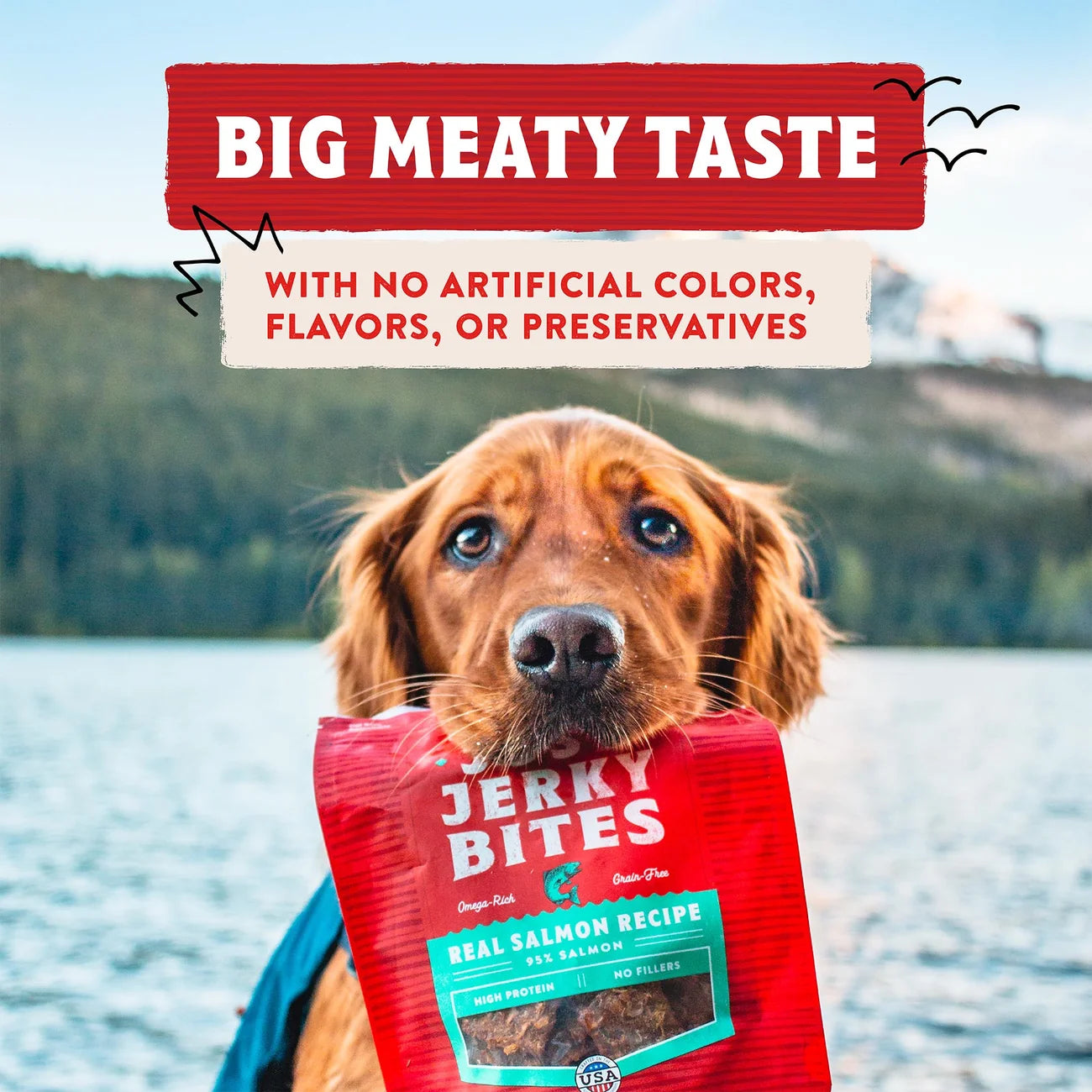 Stella & Chewy's Just Jerky Bites - Real Cage-Free Chicken Recipe 雞肉肉乾小食 Stella & Chewy's