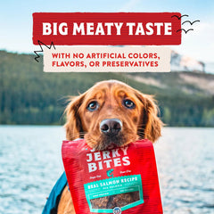 Stella & Chewy's Just Jerky Bites - Real Cage-Free Chicken Recipe 雞肉肉乾小食 Stella & Chewy's