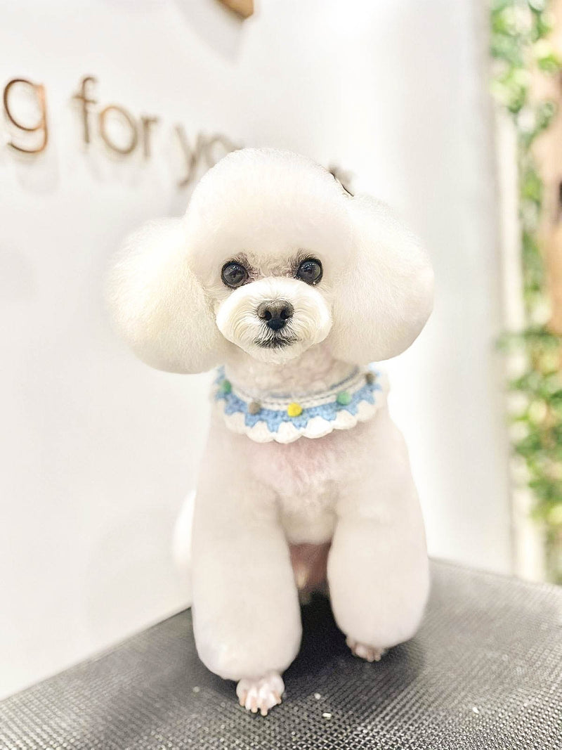 fallback text for an image