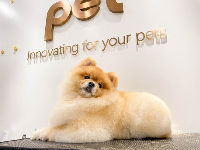 fallback text for an image