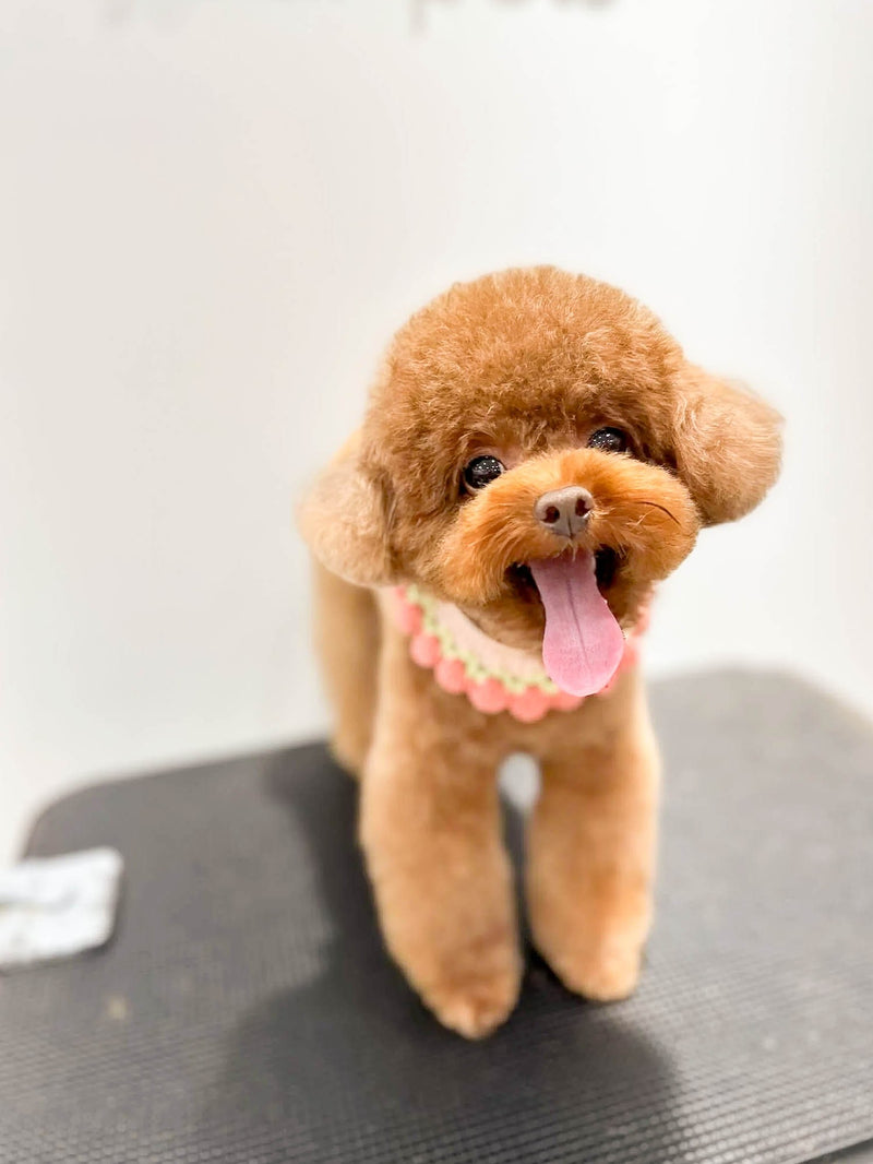 fallback text for an image