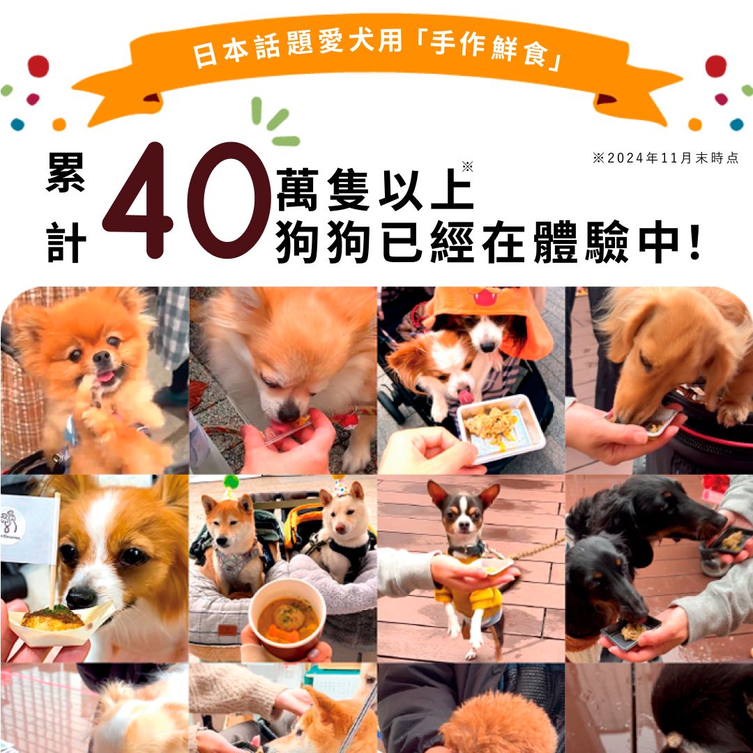 CoCo Gourmet: Pork and Broccoli 100g | Veterinarian-Supervised Fresh Dog Food