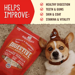Stella & Chewy's Stella's Solutions for Dogs - Digestive Support Grass-Fed Beef 有助消化系統 - 草飼牛配方 Stella & Chewy's