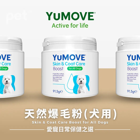 YuMOVE Skin & Coat Care Boost | 犬用天然爆毛粉 PET