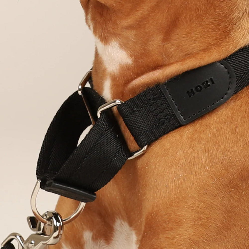 HOZI Collar Martingale - PET