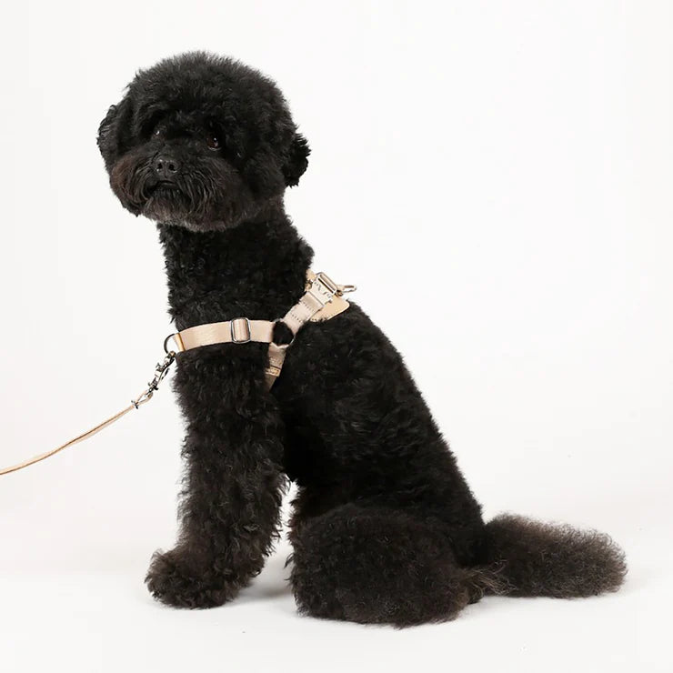 HOZI Harness Horsebit Harness